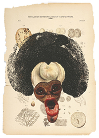 Wangechi Mutu - Histology of the Different Classes of Uterine Tummors (2004)